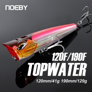 Popperr Noeby Topwater 19cm